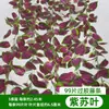 Decoración de Hoja de Uva de Ratán, Enredadera de Flores Artificiales, Planta Verde Envuelta en Tubo, Hojas Colgantes de Techo, Hiedra Verde de Plástico