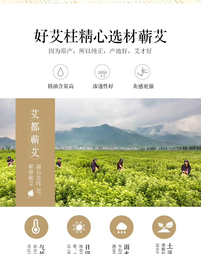 艾柱详情页_02.jpg