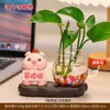 Vaso Hidropônico Desenho Animado Porco Raivoso Sapo Panda para Estação de Meninas Aparelho de Cultivo de Flores Aquáticas Enfeites Pequenos Decorativos de Mesa
