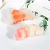 Presilha de Cabelo Grande em Acetato em Formato de Nuvem Simples para Mulheres, Acessório de Cabelo Popular que Muda de Cor, Presilha de Tubarão que Não Danifica o Cabelo