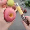 Nuevo descorazonador de frutas de acero inoxidable para el hogar, descorazonador de dátiles rojos y ojos de dragón, extractor de semillas, gadget de cocina multifuncional