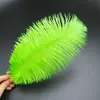 30-35cm Plumas de Avestruz Lámpara de Plumas Arreglo Floral de Plumas de Avestruz Plumas de Boda