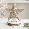 Producto Nuevo Transfronterizo Estrella de Punta de Árbol de Navidad Plata Champán Rosa Estrella de Punta de Árbol de Espuma Decoración Arreglo Estrella de Cinco Puntas