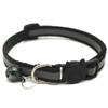 Colar de gato noite reflexiva teddy Golden Hair Dog Collar Cat Dog Collar Pet Muppet Short Blue Cat Collar