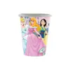 Princesa Rosa Desenho Animado Tema Festa de Aniversário Sonho Menina Decoração Pratos de Papel, Guardanapos, Toalha de Mesa, Arranjo de Louça Descartável