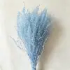 Flores Eternas de Fábrica, Plantas Verdes, Leques Verdes, Materiais Florais Estilo Ins, Decoração de Casa Nórdica, Materiais Florais para Arranjo de Casamento, Flores Preservadas Sonhadoras DIY