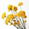 Ramo de flores mixtas blancas de viento de segunda mano, escritorio de sala de estar, recuerdo de restaurante, estilo bosque, ramo de flores secas naturales, decoración del hogar