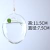 Jarrón colgante de vidrio transparente hidropónico simple moderno creativo colgante decorativo sala de estar personalizado mini botella colgante de pared