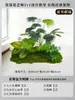 Musgo para Paisajismo de Plantas Verdes Plantas Artificiales Decoración Flores Artificiales Combinación Tropical para Interiores Paisaje de Ventana Persa Arreglo de Césped