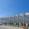 Proyecto de invernadero de vidrio, invernadero resistente a plagas y enfermedades, cultivo de aislamiento totalmente cerrado, estructura de invernadero inteligente