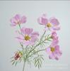 Ins Rama Única Cosmos Venta al por Mayor Sala de Estar Muebles para el Hogar Flor Artificial Decoración de Boda Flor Gesang Flor Artificial Flor de Seda