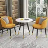 Conjunto de Mesa e Cadeiras de Lazer para Varanda da Moda, Mesa Redonda Simples de Camada Dupla para Recepção e Negociação, Uma Mesa e Duas Cadeiras, Conjunto de Três Peças para Receber Convidados