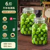 Frascos de Vidrio Sellados de Alta Gama para Remojar Vino, Recipientes Espesados para Hierbas Medicinales, Frascos para Elaboración de Vino, Botellas de Vino Vacías