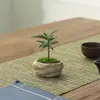 Plantas em vasos em miniatura para as pontas dos seus dedos, purificadoras de ar, perfeitas para mesas de escritório internas, folhagens ultra-miniaturas e adicionando um toque de diversão ao escritório