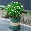 Mudas de Jasmim em Vaso de Flores Dobradas, Forte Aroma para Varanda Interna com Botões, Plantas Floríferas Fáceis de Cultivar que Florescem em Todas as Estações