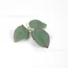 Explosiones calientes de comercio exterior 66 piezas de traje de planta verde artificial hojas de hierba acuática material de corona de ramo de rosas hecho a mano