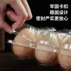 Bandeja de Huevos Personalizada en Varias Especificaciones Caja de Empaque para 4-30 Huevos Conservados y Huevos de Codorniz Caja de Huevos a Prueba de Golpes y Resistente a la Presión Fábrica de Origen