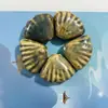 Cuentas Sueltas de Cerámica con Borde de Abanico Retro de Colores Paquete de Materiales Caseros para Estudiantes Cuentas de Concha con Agujero Grande Accesorios para Collares de Mano