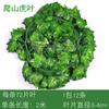 Simulación de planta verde, enredadera de hojas pequeñas, simulación de parthenocissus, enredadera de hojas, planta decorativa para sala de estar, hotel, ratán, hiedra falsa