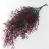 Arreglo de Escena Terminada con Vegetación Artificial, Enredaderas para Colgar en la Pared, Hojas Doradas de Sauce, Plantas Artificiales Rojas Colgantes