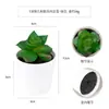 Más de 100 Tipos de Combinaciones de Plantas Suculentas Mini de Plástico Simuladas en Maceta, Mini Bonsáis Suculentos Más Vendidos Transfronterizos, Decoración para el Hogar, Adornos Creativos
