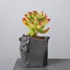 Vaso de flor de areia roxa de personalidade criativa cerâmica pequeno laozhuang carne carne pêssego ovo planta bonsai bonsai cálamo aspargo estilo chinês