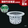 Cesta de Plantio Hidropônico, Cesta de Fixação de Plantas para Cultivo em Solo, Cesta de Flores para Vaso de Vidro, Recipiente Hidropônico, Dispositivo de Fixação para Raiz de Rabanete Verde e Bambu da Sorte