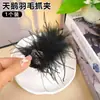 Presilha de Cabelo Pena de Cisne Pequena, Presilha para Coque de Pena de Avestruz com Strass, Elegante Penteado Semi-Preso, Presilha Bico de Pato de Alta Qualidade, Presilha Lateral