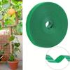 Em estoque 10 15 20mm Cinto de Amarração de Plantas Verdes Trepadeira de Plantas Verdes Jardinagem Amarrilho de Velcro Cortável