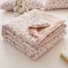 Nuevo Modelo Clase A Grado Materno e Infantil Manta de Verano de Gasa de Doble Capa, Antibacteriana, Lavable a Máquina, Manta para Aire Acondicionado, Manta de Regalo, Venta al por Mayor de Mantas de Verano