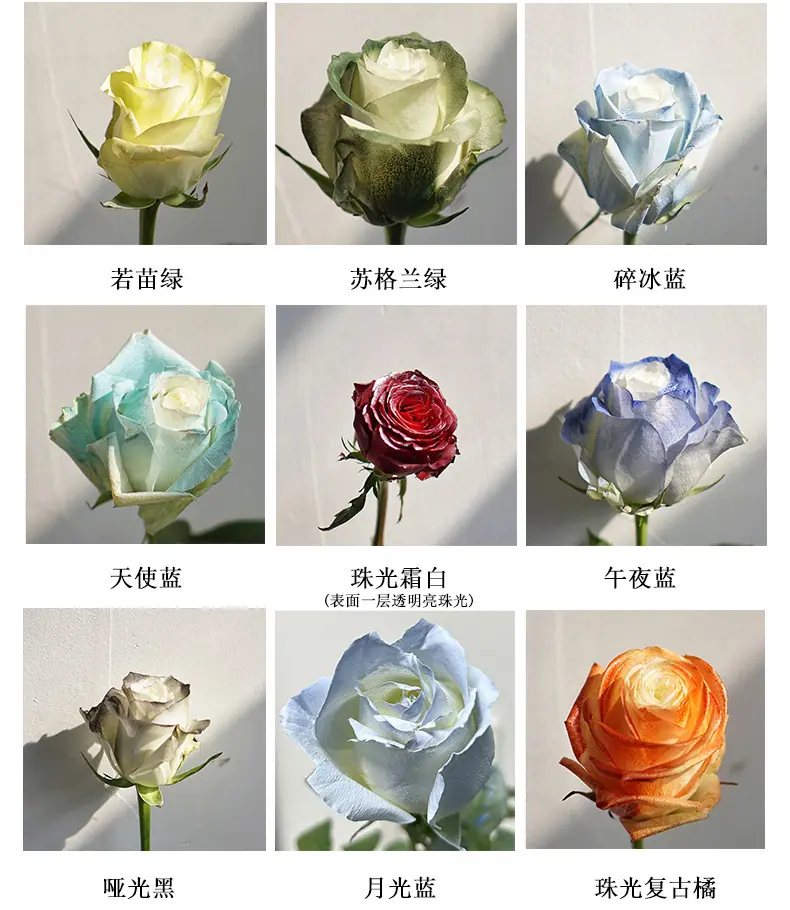 changjing_13.jpg
