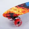 Fornecimento direto de fábrica profissional de nova flor de transferência de água peixe pequeno Placa placa de vitalidade Rua Pincel skate meninas banana board