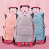 Mochila de Rodinhas Nova Chegada Peixe Natural para Alunos do Ensino Fundamental e Meninas Estilo Cor Sólida Grande Capacidade Mochila Removível