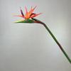 Paraíso de pegamento suave de simulación, ave del paraíso, grulla, flor de orquídea, accesorios para arreglos, ventana de hotel, decoración de grulla flamenca, sensación de flor de simulación