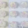 Novo Estilo Glitter Fino Gradiente Duas Cores Flor Rosa Amor Verdadeiro Contas Soltas DIY Pulseira com Contas Colar Brinco Acessórios Materiais