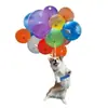Gato y Perro de Globo Coloridos Decoración Animal Colgante para Espejo Retrovisor de Coche Colgante Plano Llavero de Mochila Accesorios Colgante