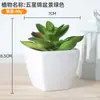 Decoração de planta verde para casa em vaso de plástico carnudo, pequenos enfeites de mesa, vaso com combinação de flores artificiais, adereços para fotografia