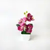 Nova Flor de Alta Simulação 4 Phalaenopsis Pequena Planta em Vaso Flores Brancas Bacia para Pés Sala de Estar Sala de Jantar Decoração de Mesa Flor Artificial