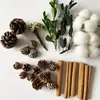 Flores Secas Mixtas y Frutas Secas Paquete de Materiales DIY Piñas de Pino Canela Aromaterapia Vegetal Decoración Estilo Bosque Flores Conservadas Flores