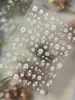 Pegatinas para Uñas con Patrón de Hormiga Pegatinas Pequeñas de Flores Fábrica de Origen de Arte para Uñas Decoraciones Florales Dulces para Uñas Precio de Mayoreo Yt8003