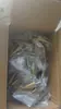 Ferretería de Comercio Exterior Más Vendida: Brocas de Pagoda Asequibles, Templadas a Alta Temperatura, Resistentes a la Corrosión, Resistentes al Desgaste, Especiales para Carpintería, Ranurado y Perforación