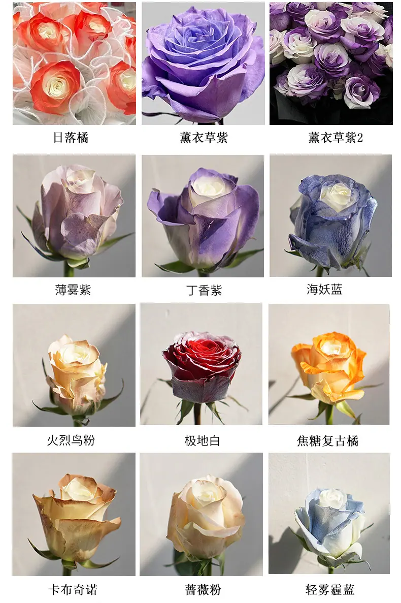 changjing_12.jpg