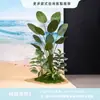 Cenário de Montagem de Evento com Tema de Verão Display de Loja em Shopping de Verão Decoração de Prancha de Surf Fundo de Decoração com Placa Kt