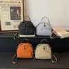 Bolsa Pequena Transversal Estilo Simples com Múltiplos Compartimentos, Versátil e Leve, Adequada para Compras, Uso Diário, Bolsa para Celular, Bolsa de Mão Feminina, Bolsa de Ombro
