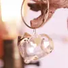 Caixa de Armazenamento de Pelos de Cachorro Acrílico Transparente Armazenamento de Pelos de Pet Coleção Desenho Chaveiro Comemorativo à Prova de Poeira