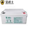 Batería Golden Samurai Ph65-12 12V65Ah Pantalla CC SAI Metro Barco Equipo de Aviación Suministro de Energía para Comunicaciones