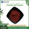 Extrato de Flor de Hibisco 10:1 Pó de Flor de Hibisco 1kg para Venda Antocianina de Flor de Hibisco 25%