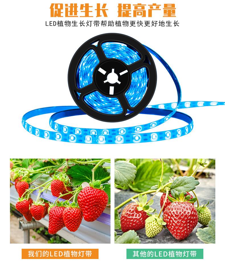 USB-手扫感应冰蓝-植物灯带-_07.jpg