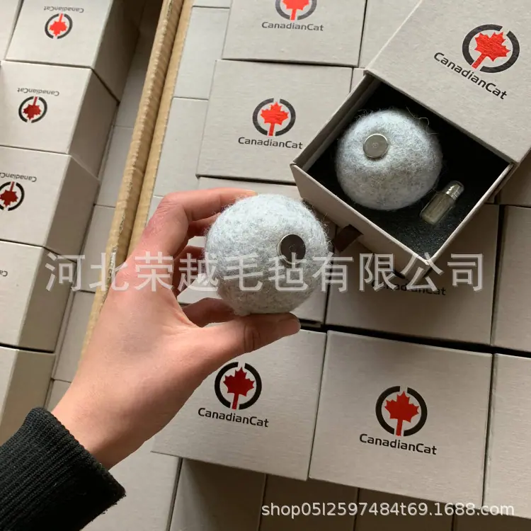 CD971598B198EF905400C7D805EC2E
