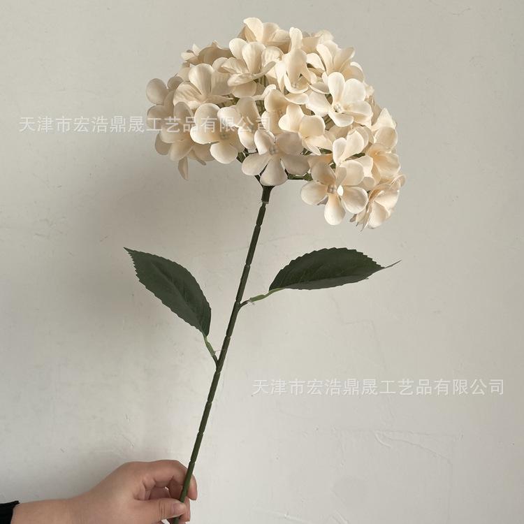 微信图片_202212121133423_副本